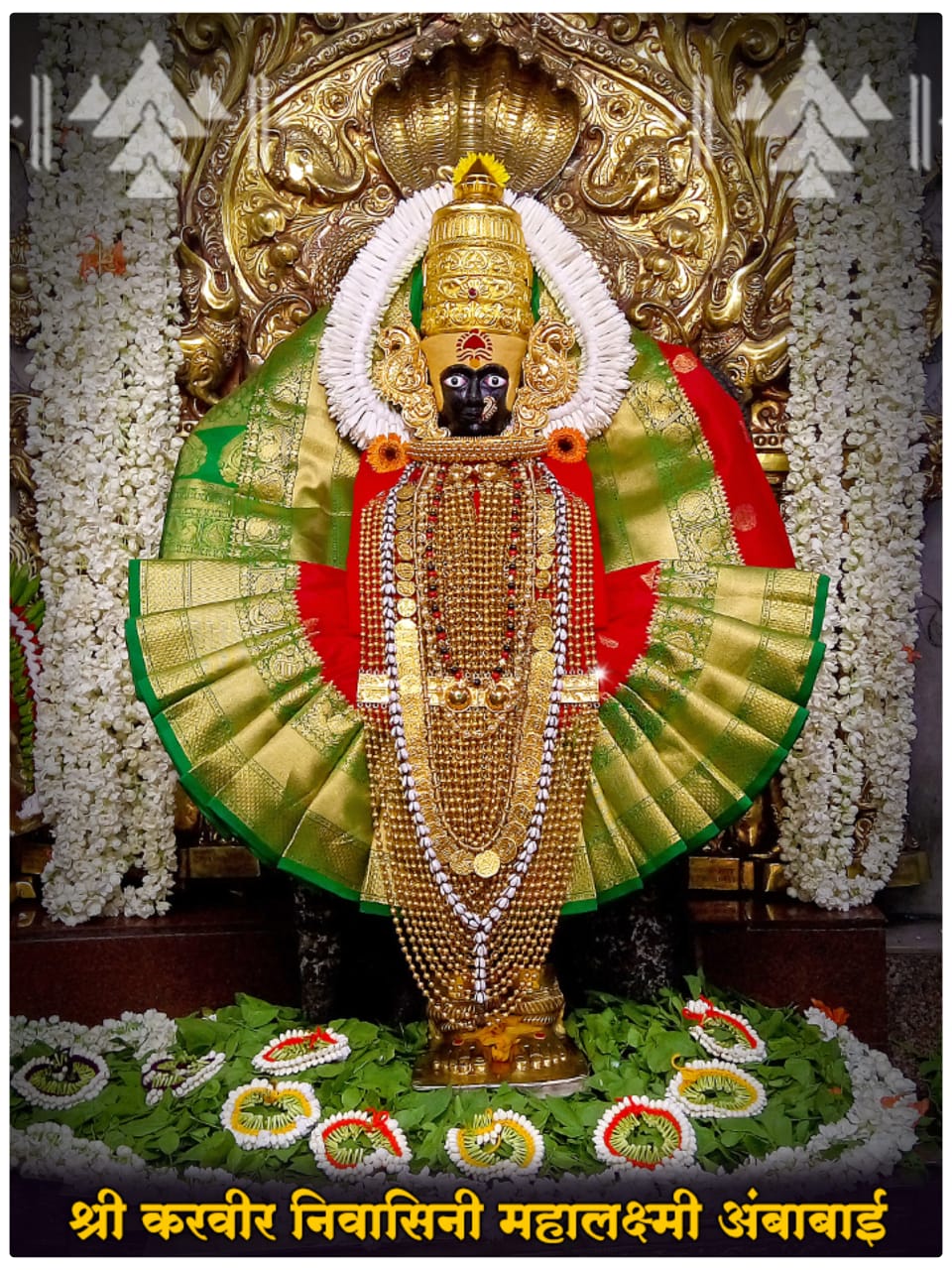 Kolhapur Mahalaxmi Goddess Lakshmi Devi Ambabai Laxmi Photo Frame 9 x12  inches : Amazon.in: Home & Kitchen